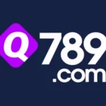 Q789 Game